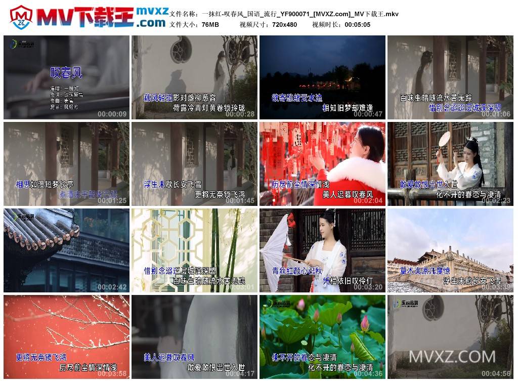一抹红-叹春风_国语_流行_YF900071